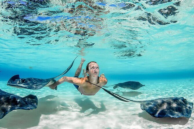Stingray City and Two Reef Snorkeling Cayman Adventure - Frequently Asked Questions