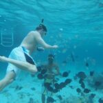 Stingray City Experience Plus Two Snorkeling Stops on Grand Cayman - Practical Tips for Your Visit