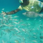 Stingrays, Starfish and Snorkeling Tour - Who Will Love This Tour?