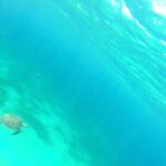 Stroll and Initiation to Sailing in the Baie des Saintes - The Sum Up