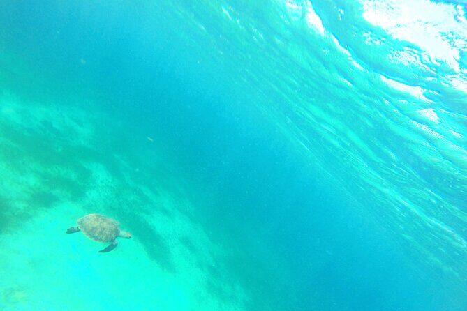 Stroll and Initiation to Sailing in the Baie des Saintes