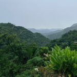 Sueños de Cafe - A Coffee Lovers Dream - Hacienda Prosperidad - The Heart of Coffee