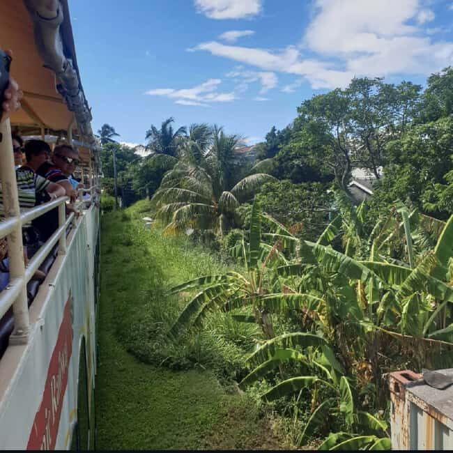 Sugar Train Tour & Drinks|Pick-Up &Drop Off From Cruise Port - The Realities from Traveler Feedback