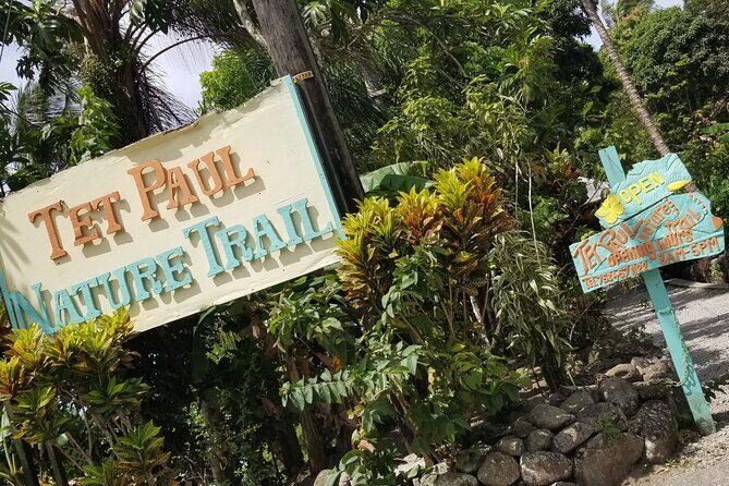 Sulphur Springs Tour - Detailed Breakdown of the Sulphur Springs Tour