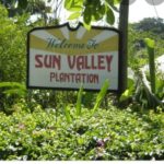 Sun Valley farm Tour - In-Depth Look at the Experience