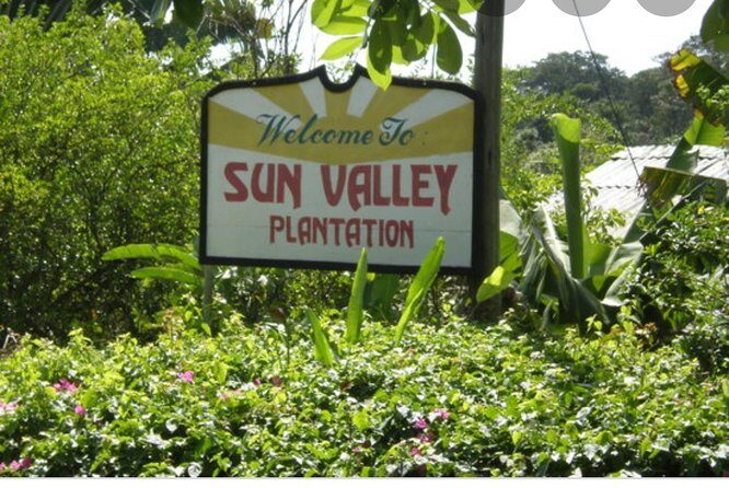 Sun Valley farm Tour - In-Depth Look at the Experience