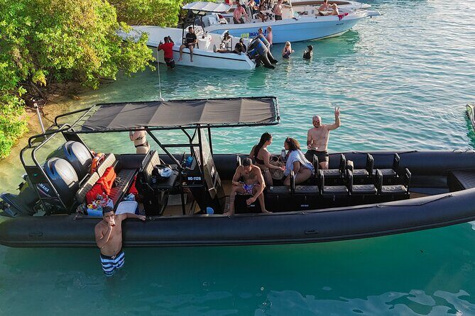 Sunday Boat Festival/Meet up with Djs, open bar & snacks - Who Will Enjoy This Tour?