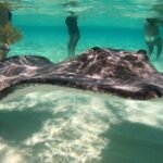 Sunrise at Stingray City, Private Tour - The Stingray Encounter