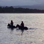 Sunset Beach Horseback Riding - Why You Should Consider This Tour