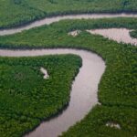 Sunset Boat Tour into Caroni Wetlands - Why Guides Make a Difference