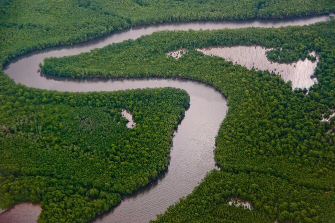 Sunset Boat Tour into Caroni Wetlands - Why Guides Make a Difference