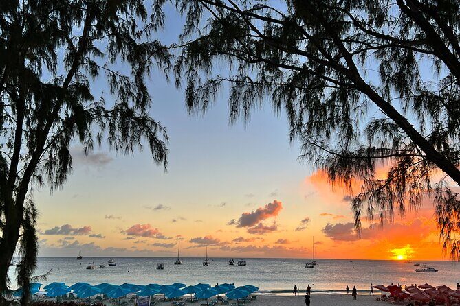 Sunset Cruise and Dinner - Practical Details and Tips