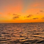 Sunset Cruise Fully Private with Nos Isla - Sunset Cruise Fully Private with Nos Isla: An Authentic Aruba Experience