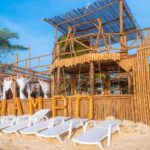 Sunset Excursion Playa Blanca Baru and Bioluminescent Plankton - An In-Depth Review of the Sunset Excursion Playa Blanca Baru and Bioluminescent Plankton