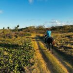 Sunset Horseback Ride at Macao Beach & Forest with Transfers - Who Will Love This Tour?