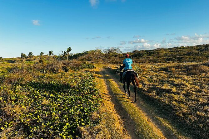 Sunset Horseback Ride at Macao Beach & Forest with Transfers - Who Will Love This Tour?