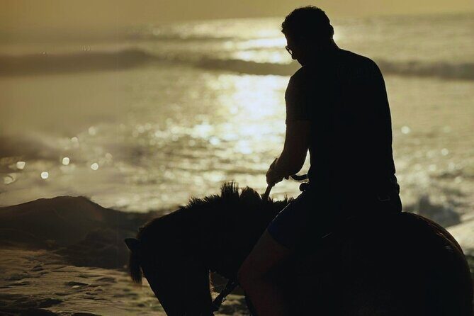 Sunset Horseback Ride by the Beach in Aguadilla, Puerto Rico - Practical Tips for Visitors