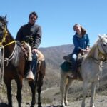 Sunset Horseback Riding - The Experience in Detail: What to Expect