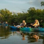 Sunset Kayak Tour in the Mangrove Lagoon, St Thomas - In-Depth Review of the Sunset Kayak Tour