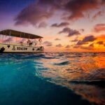 Sunset- night snorkel trip - Final Thoughts