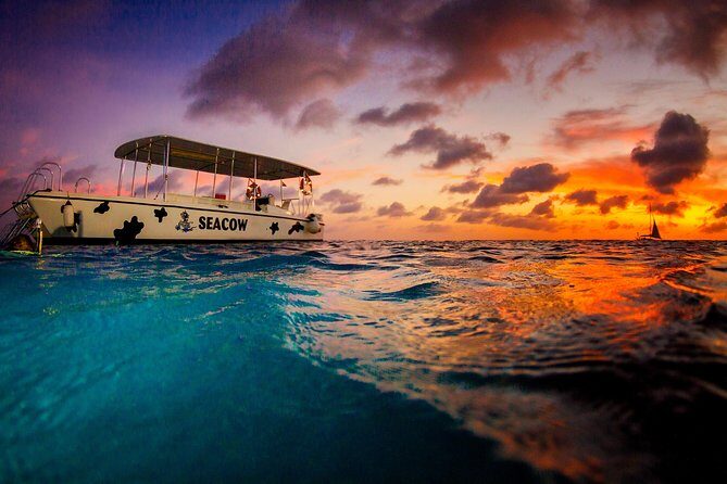 Sunset- night snorkel trip - Final Thoughts