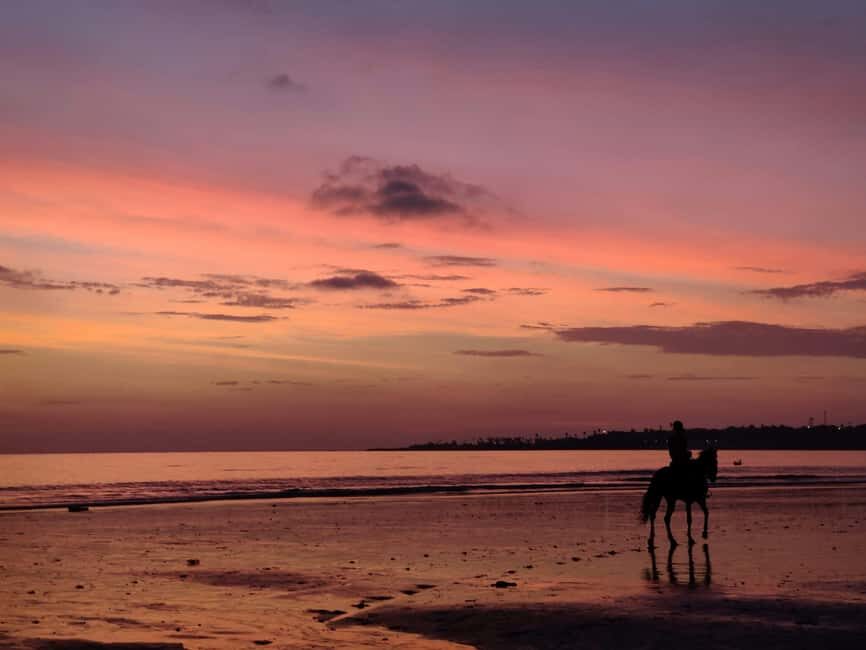 Sunset on Horseback at El Limón Beach - Practical Details: What to Know Before You Go