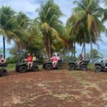 Sunset & Wildlife Tour - A Deep Dive into the Sunset & Wildlife Tour