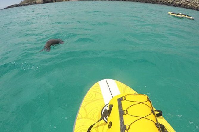 SUPER BAY - The Logistics and What You Should Know