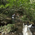 SUPER COMBO BUENA VISTA: 7 Activities 1 day + Cultural experience - Final Thoughts