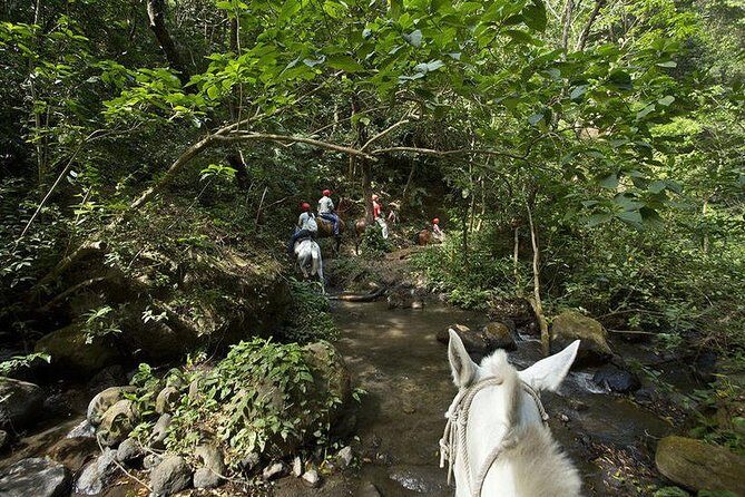 SUPER COMBO BUENA VISTA: 7 Activities 1 day + Cultural experience - Final Thoughts