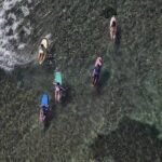 Surf lessons Guadeloupe beginners intermediate confirmed - Who Should Consider This Experience?