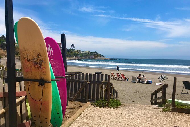 Surfing, Sandboarding & wild Sea lions + Chilean drinks & food - Why This Tour Offers Good Value