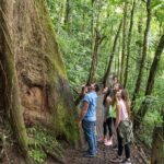 Suspension Bridges, Fortuna waterfall, Typical lunch - A Deep Dive Into the Tour Experience