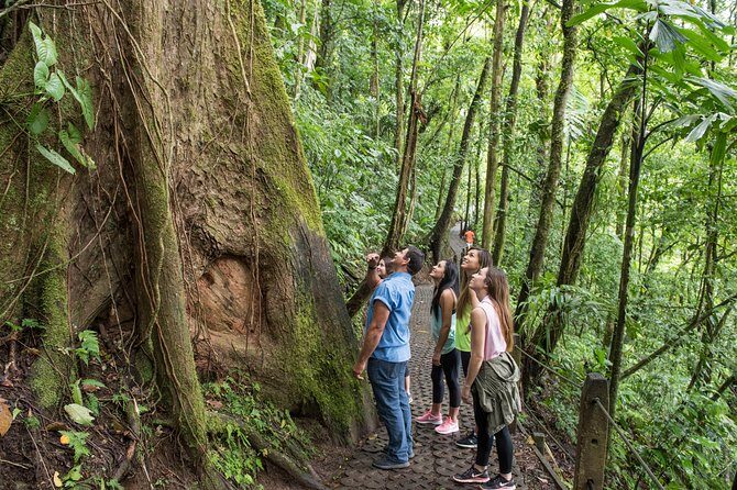 Suspension Bridges, Fortuna waterfall, Typical lunch - A Deep Dive Into the Tour Experience