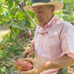 Swetness and Smoothness of "Tour" Chocolate - The Sum Up: Why This Tour is Worth Your Time