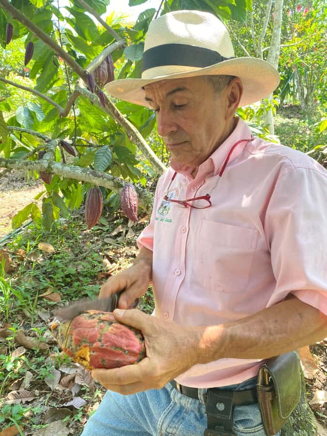 Swetness and Smoothness of "Tour" Chocolate - The Sum Up: Why This Tour is Worth Your Time