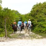 Swim Horse fom Punta Cana - The Experience of Guides and Tour Logistics