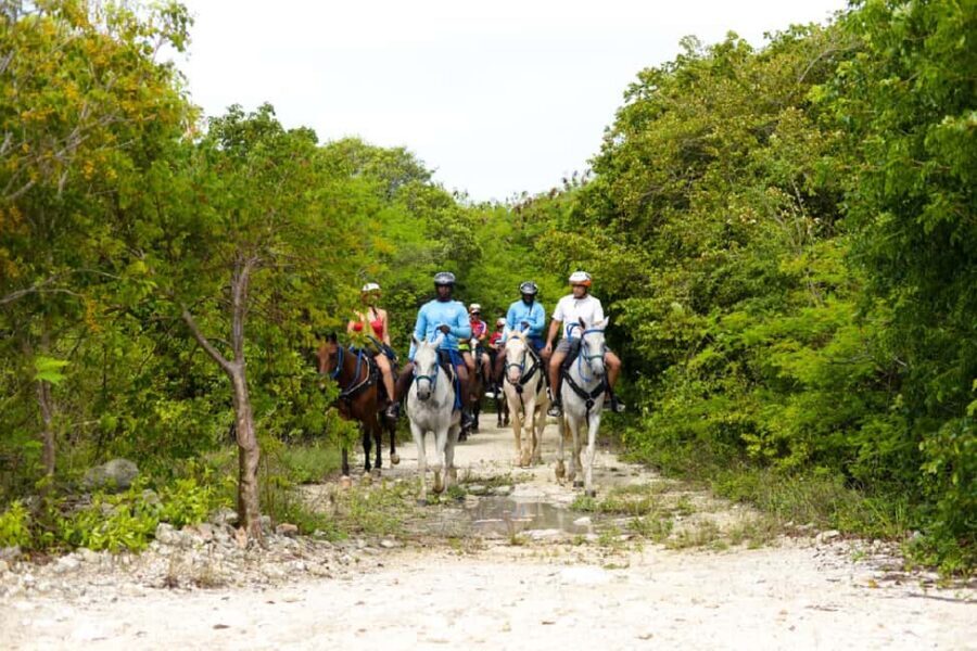 Swim Horse fom Punta Cana - The Experience of Guides and Tour Logistics