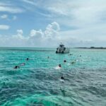 Swim with Pigs and Beach Snorkeling Adventure Rose Island Bahamas - Who Should Consider This Tour?