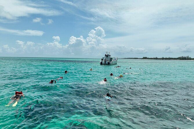 Swim with Pigs and Beach Snorkeling Adventure Rose Island Bahamas - Who Should Consider This Tour?