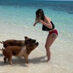 Swim with the Pigs Freeport @Creative Eco Adventures - In-Depth Review: The Experience from Start to Finish