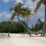 Swim with the Pigs / West End Experience - Authentic Experiences and Genuine Value