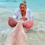 Swimming Pigs and Private Beach Club Escape - The Sum Up