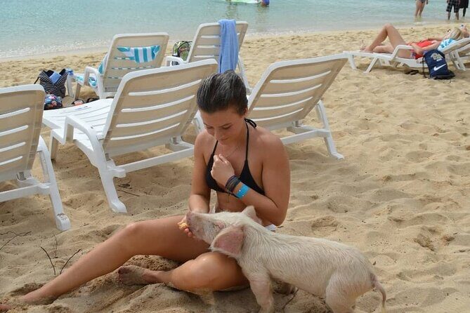 Swimming Pigs & Tour with Transportation to Rose Island - Exploring Rose Island: Beach, Snorkeling, and Relaxation