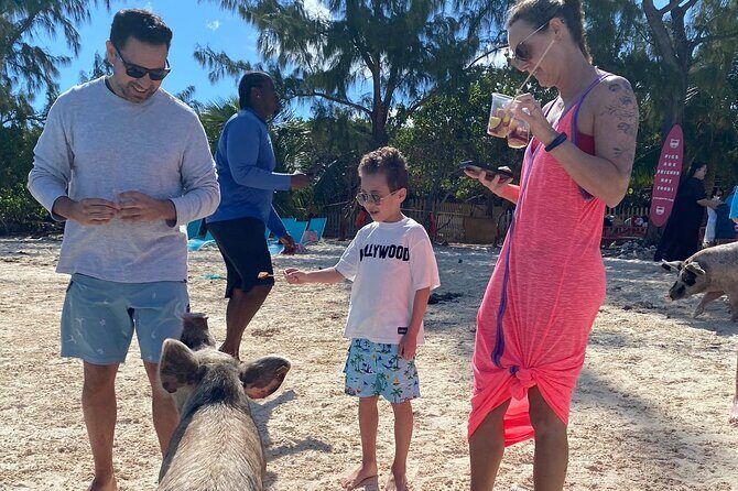 Swimming Pigs, Turtles & Reef Snorkel in Nassau-Champion Tours - Who This Tour Is Best For