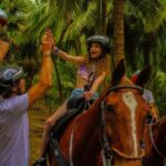 Swimming with Horses at the Beach from Punta Cana Free transportation - FAQ