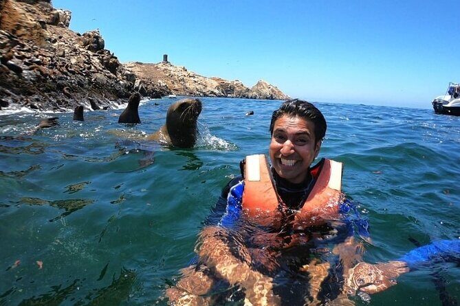 Swimming with Sea Lions in Islas Palomino Lima - Authentic Reviews and Real Experiences
