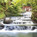 Tabacon Hot Springs Day Pass - A Thorough Breakdown of the Itinerary