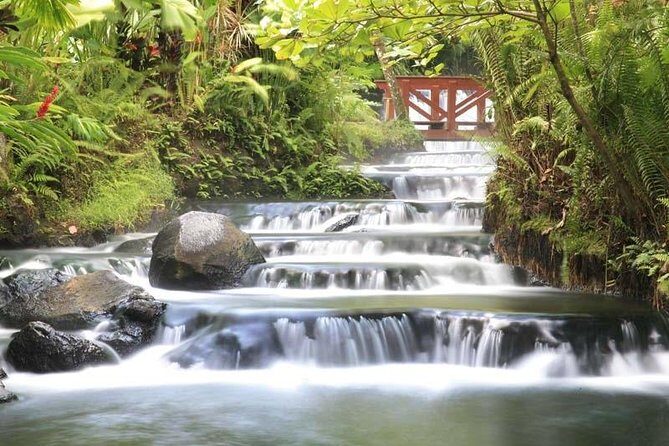 Tabacon Hot Springs Day Pass - A Thorough Breakdown of the Itinerary