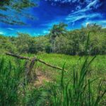 Taino Bay & amber cove 7 Damajagua Waterfall Lunch Excursion - Detailed Review: A Closer Look at Every Step